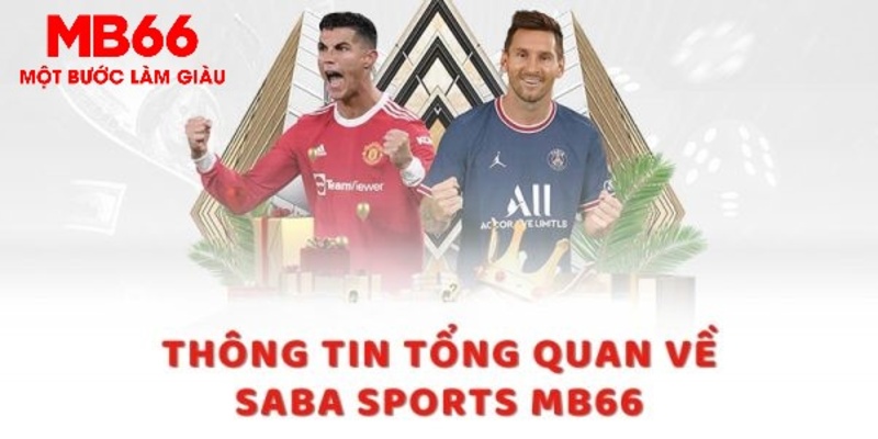 vin7775 trực tiếp xổ số miền bắc