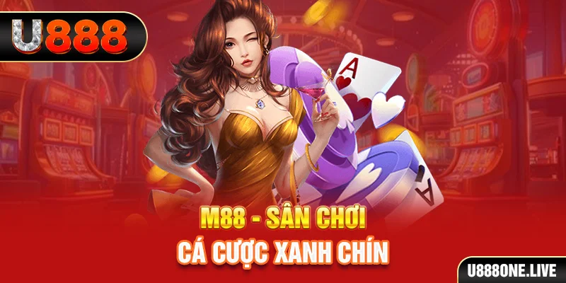 vin7775 gà chọi cậu thanh