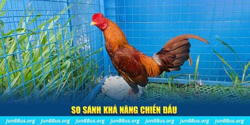 vin7775 xổ số tiền giang