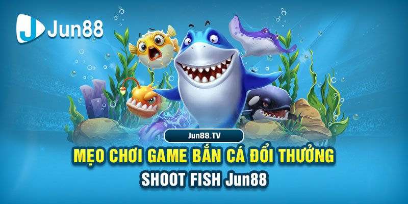 vin7775 tai game danh bai bigkool ve may tinh