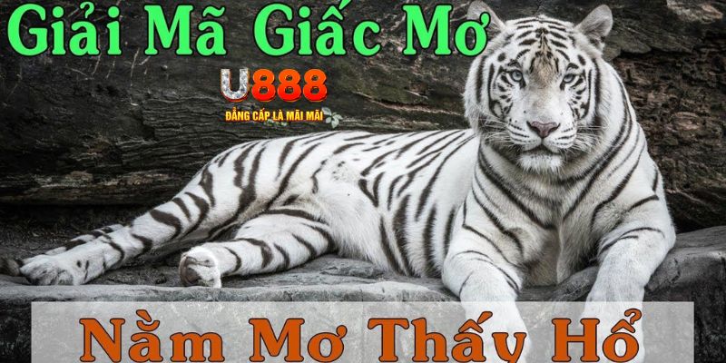 vin7775 xổ số kiến thiết miền bắc