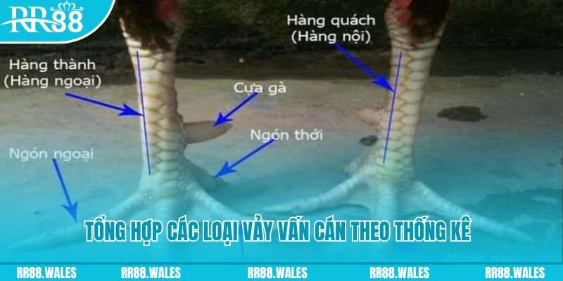vin7775 nổ hũ chơi như thế nào