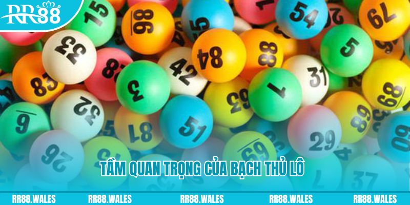 vin7775 đá gà trực tiếp casino