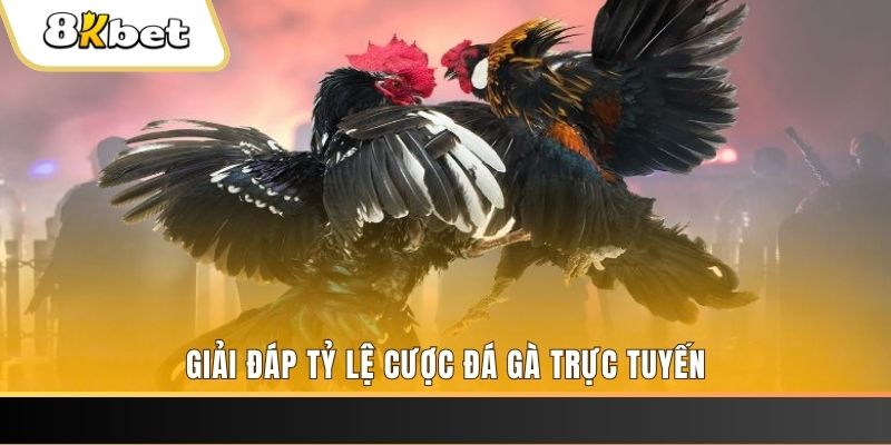 vin7775 xổ số ba đài