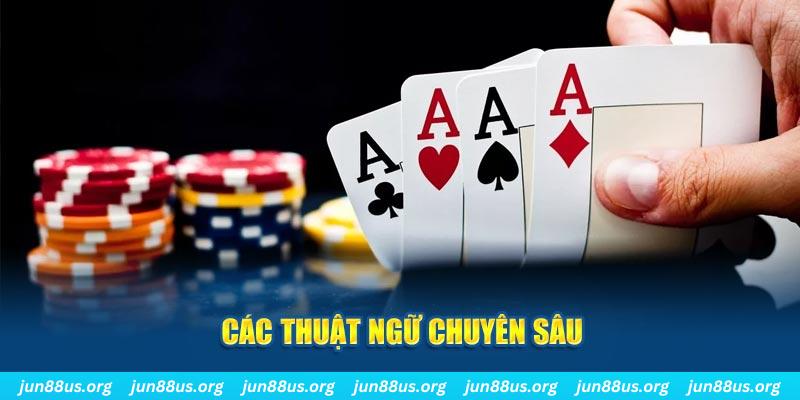 vin7775 PT Điện Tử