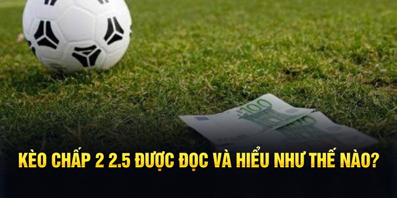 vin7775 đá gà thomo