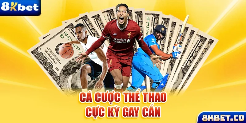vin7775 Bữa tiệc dành cho thanh thiếu niên